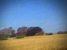 BLUE VINYL Benji Sun Kil Moon 2X LP Mark Kozelek Red House Painters Loner Folk