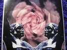 Death in June - Rose Clouds of Holocaust