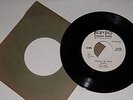 The Skee Brothers, Big Deal, While I'm Away, 45 RPM, 7