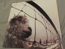 PEARL JAM - Vs. Original Pressing OOP Rare VINYL LP Z53136 Epic daughter go
