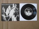 ADAM AND THE ANTS Zerox / Physical ( You're So ) DO IT 7