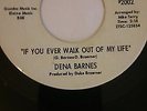 Dena Barnes 