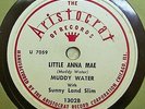 Vintage 78 Blues, Muddy Waters, Little Anna Mae/Gypsy Woman, 10