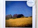 BLUE VINYL Benji Sun Kil Moon 2X LP Mark Kozelek Red House Painters Loner Folk