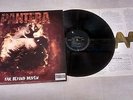 Pantera - Far Beyond Driven - German 1994 vinyl LP in withdrawn sleeve