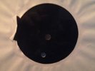 Original Dubplate: Guiding Star / All In This Together - Black Foundation