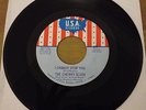 THE CHERRY SLUSH - I CANNOT STOP YOU + 1 PSYCH GARAGE USA RECORDS 45 NEAR MINT
