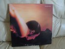 porcupine tree on the sunday of life