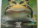 FROGGIE BEAVER: From The Pond - VERY RARE ORIG US HARD-PSYCH/ PROG LP 1972 - EXC