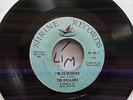 Epsilons - Im so devoted - Shrine Records