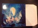 Verve - A Storm In Heaven (Vinyl LP UK Import HUTLP 10 Gatefold)