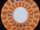 Funk 45 MOON PEOPLE Hippy, Skippy, Moon Strut (Opus #1) ROULETTE HEAR