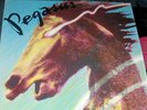 PEGASUS s/t  1977 LP RARE MODERN SOUL FUNK  Sunshine Records