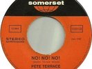 Pete Terrace King of Boogaloo At The Party / No No No Somerset Stereo