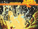 THE FLAMING LIPS 