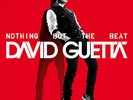 DAVID GUETTA NOTHING BUT THE BEAT NEW DOUBLE VINYL LP