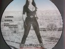 RUSS MEYER PICTURE DISC NM (LOOKS UNPLAYED) + BOOKLET NM- NAKED - SEXY - NUDE