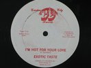 EXOTIC TASTE I'm Hot For Your Love 12