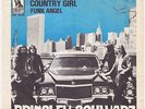 BRINSLEY SCHWARZ Country Girl RARE Sweden 45 NICK LOWE pub rock IAN GOMM swedish
