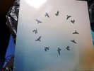Half Moon Run Full Circle 7 Inch Single Vinyl Record