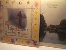 Virginia Astley *Melt the Snow+Promise Nothing LPx2* Throbbing Gristle Coil Gaga
