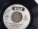 northern soul record. anderson brothers. i can see him loving you