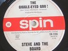 STEVE AND THE BOARD, '' ROSALYN '' AND '' THE GIGGLE EYED GOO '', GARAGE/ PUNK