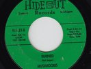 Detroit Garage Psych 45 MUSHROOMS 