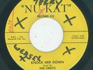 Killer R&B Rocker - The Orbits - Knock Her Down / My Love  {Nu Kat}