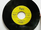 LITTLE DENNY Flying Fish/Rock & Roll Blues Perry 1 45 Garage Rock *LISTEN*