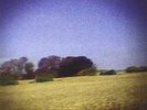 Sun Kil Moon Benji Limited Edition BLUE Colored Vinyl Record 2LP mark kozelek