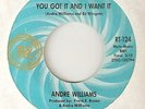 ANDRE WILLIAMS You Got It And I Want It RIC TIC DETROIT  NORTHERN SOUL 45