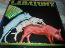 JEAN-YVES LABAT - LABATOMY touché - RARE PROG ROCK POST PUNK COSMIC RCA Lp 1981