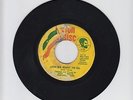ZION DISC/ZION WE WANT TO GO  -  SONS OF NEGUS (68 REGGAE ROOTS 7
