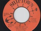 70s Soul 45 - Barbara Stant - You've Got To Try It Again - Shiptown - mp3