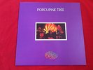 PORCUPINE TREE - SPIRAL CIRCUS ( ORIGINAL 1997 VINYL ON CHROMATIC 002)