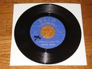 DENITA JAMES I Have Feelings Too / Wild Side 7
