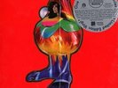Björk  - Volta Vinyl 2LP BOX NEU Deluxe Edition