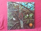 Dragonfly uber-rare acid-psych 1968 1st press Megaphone Excellent condition LP