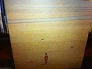 Jean-Claude Vannier L'enfant Assassin des Mouches LP Finders Keepers LTD Serge