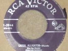 DON TOSTI LATER ALLIGATOR AFRO LATIN MAMBO DANCE FLOOR LATIN BEAT LISTEN