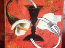 Toad The Wet Sprocket Dulinea Orig 1994 LP Alt-Rock Import EXCELLENT Cond 