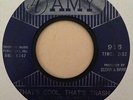 The Street Cleaners - That's Cool, That's Trash / Garbage City (Amy 916)