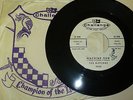 GARAGE BAND 45 RPM RECORD - THE RIPTIDES - CHALLENGE 59058 - PROMO