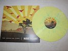 Have Heart The Things We Carry LP Yellow/Green Gorilla Biscuits Mental Rival Mob