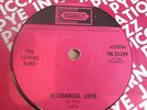 THE LOVING KIND - ACCIDENTAL LOVE 1966 7