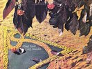 GREG SNEDDON LP: 