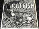 CATFISH “Get Down” Original 1970 Epic Blues Psych BOB HODGE M-