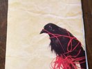 Transatlanticism Death Cab for Cutie Vinyl Oct 2003 Sonic Boom Rock LP + Booklet