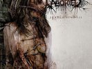 ABORTED - Strychnine.213 - Limited BLACK Vinyl LP + CD - NEU - NEW